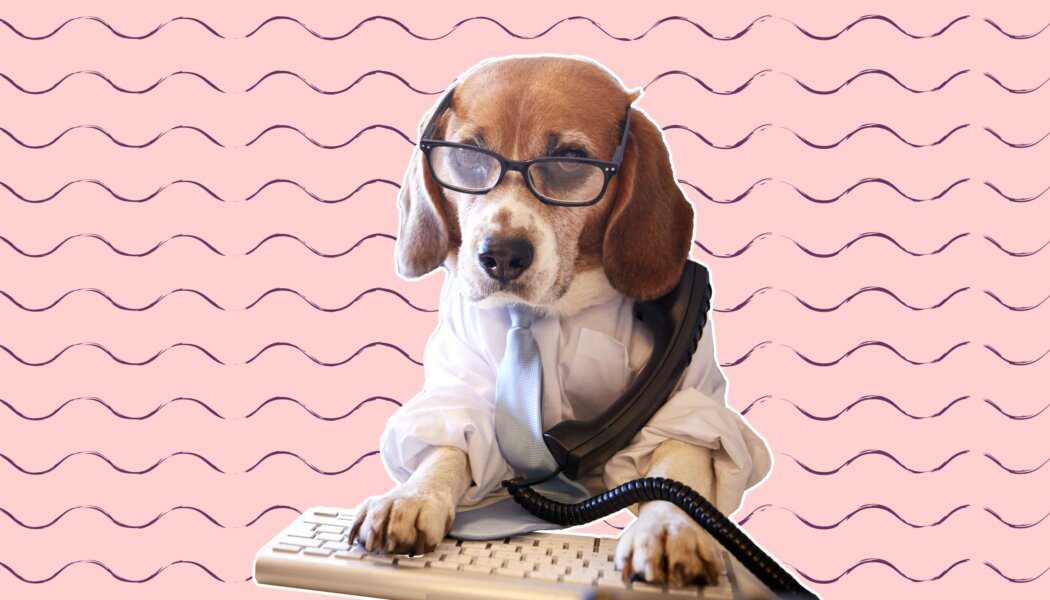 My job gives me stability, but it clashes with my politics. Should I quit?