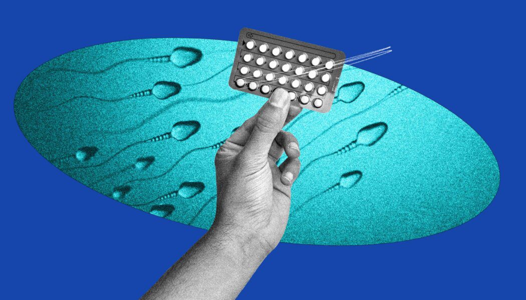 Trans women who stop hormones are still fertile, according to a new study