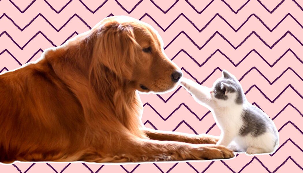 I love banter, but my friends say my teasing is ‘toxic’