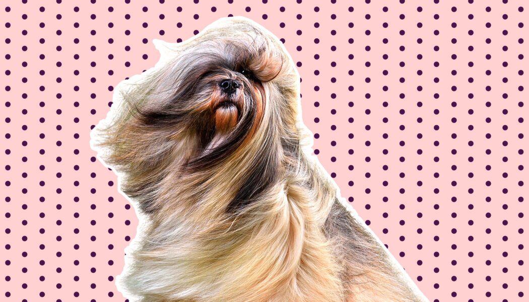 My boyfriend can’t accept my body hair. Is it time to break up?