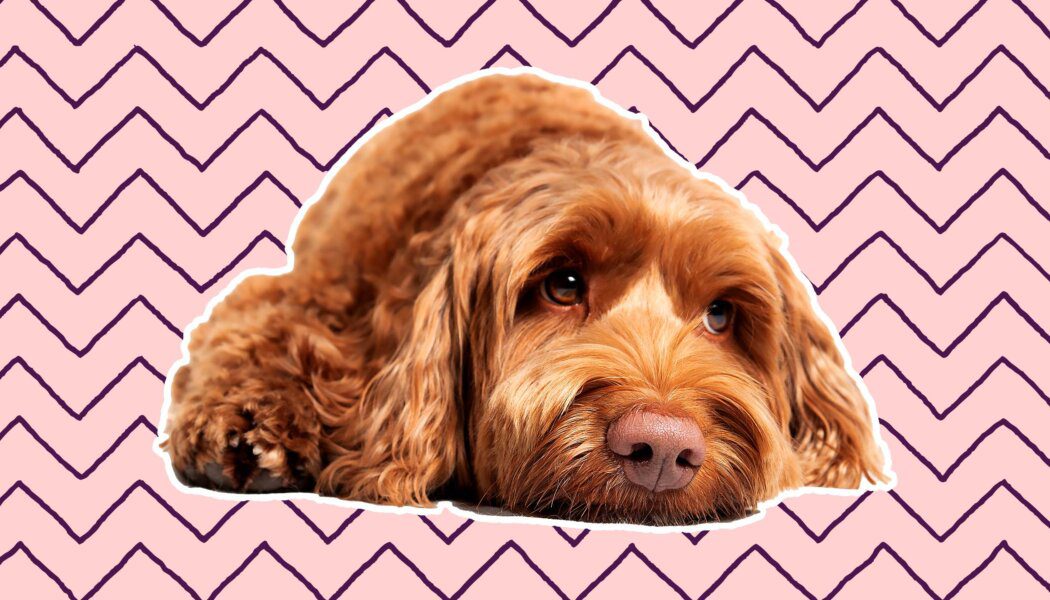 Sometimes I don’t feel attracted to my girlfriend. Should I leave her?