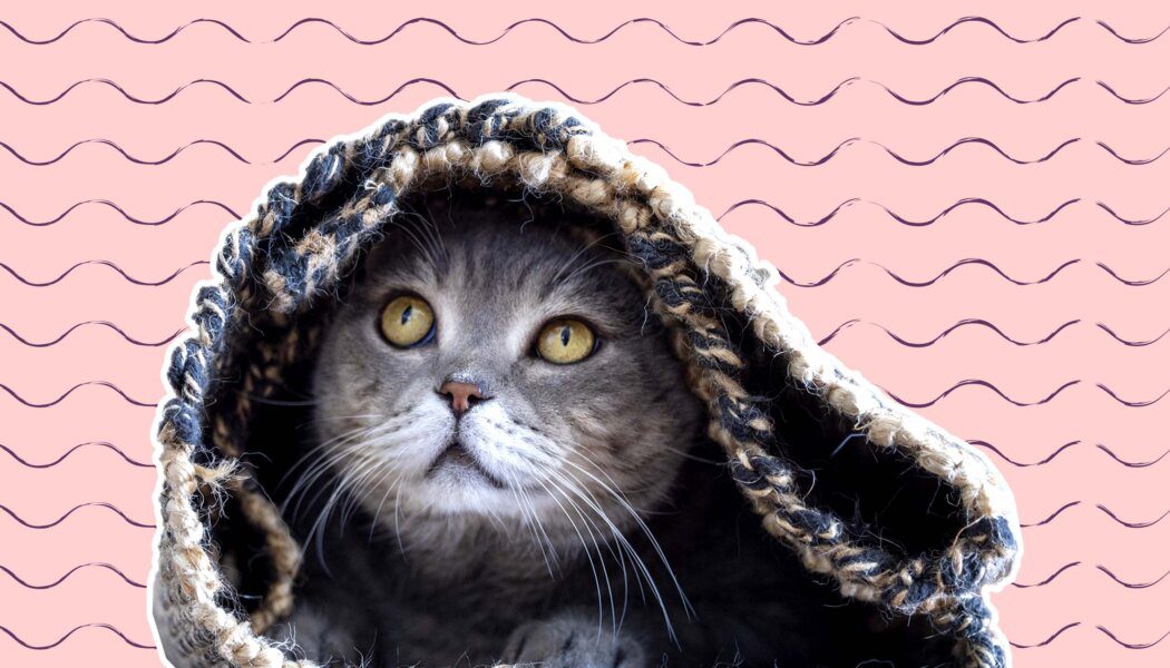 My hookup lied to me and exposed me to an STI. Can I ghost him?