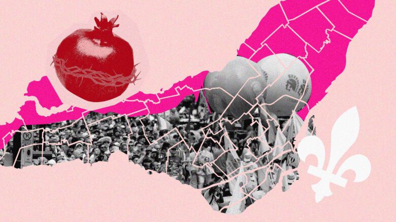 A collage on a pink background of the logo of Wild Pride Montreal (a pomegranate with barbed wire around it), a map of Montreal, and a crowd shot of a past Montreal Pride parade