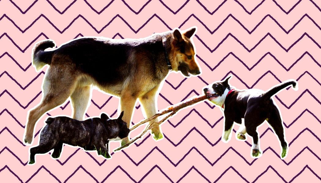 How much space should white-passing people take up in the antiracist movement?