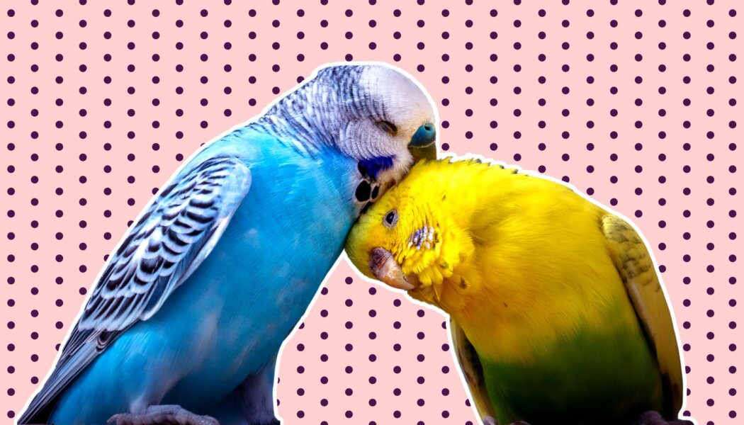 In the midst of despair, how do you find the will to go on?