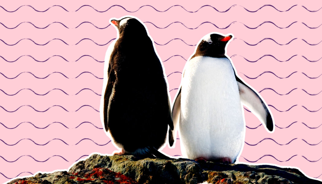 My ex says I harmed them. How can I disagree without invalidating their experience?