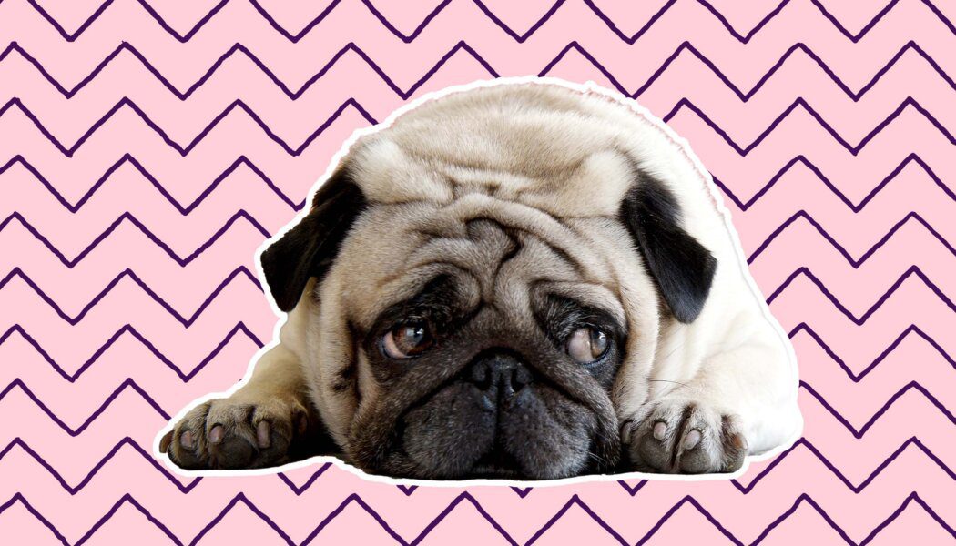 I’m a trans man who doesn’t want to transition medically or socially. Am I betraying my community?