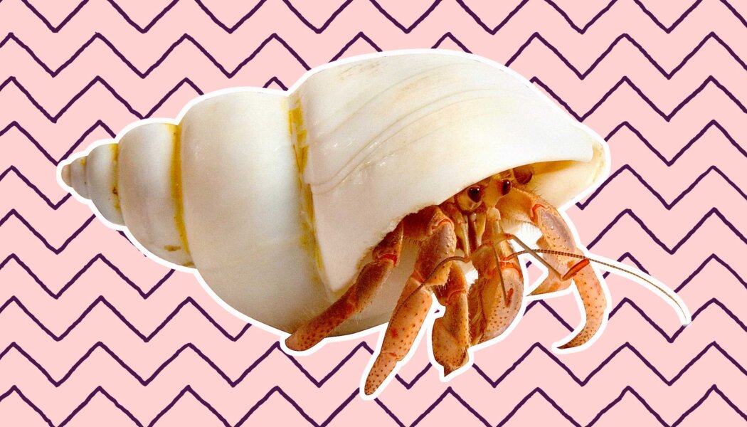 I’m a woman in a relationship with a man. How can I explore my newfound bisexuality?