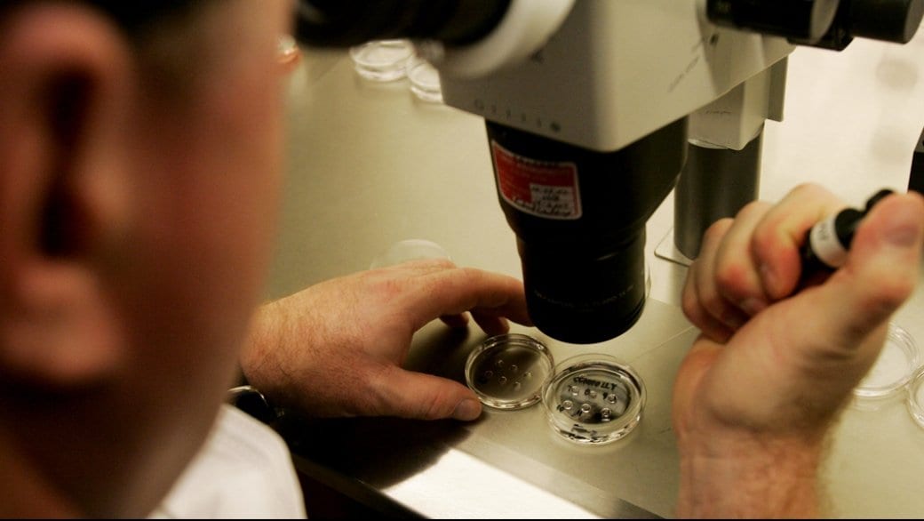 LGBT Canadians now eligible for current and retroactive tax break on reproductive treatments