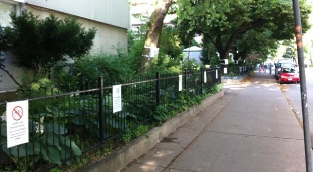 Chill out, residents tell co-op on eve of Pride weekend