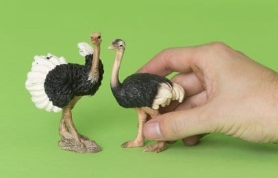 Toronto’s 519 Green Space Festival unveils campaign