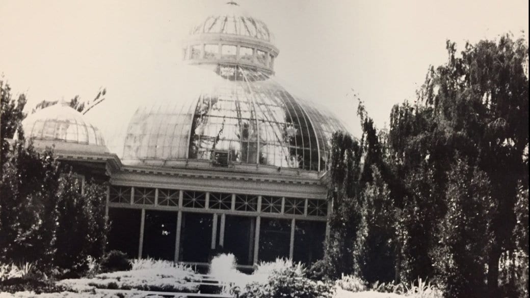 All your burning questions answered on why gay men love park sex