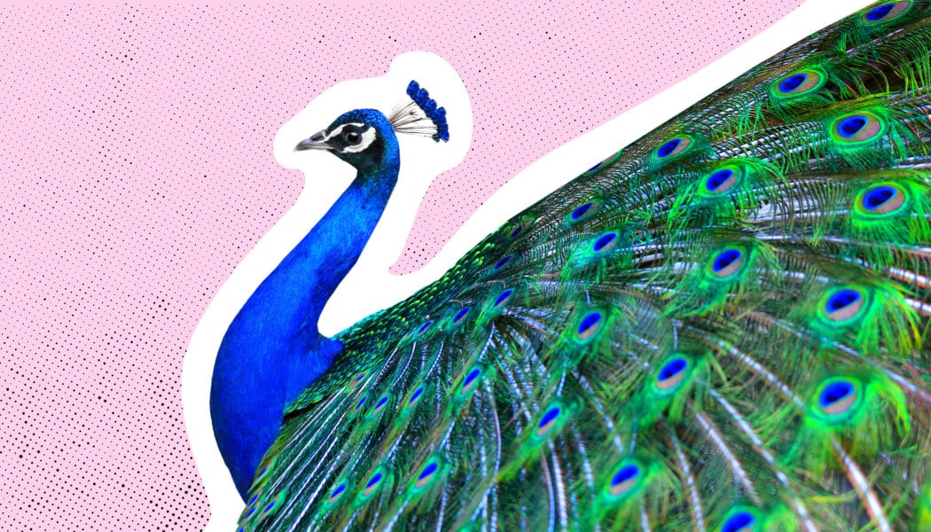 I’m bisexual and going on my first date with another woman after coming out. I’m nervous. Will I know what to do?