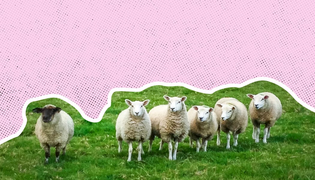 I’m dating a woman in a polyamorous relationship and I feel like her last priority. Am I better off alone?