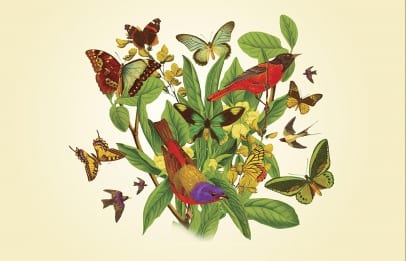 Rise of the neuroqueers